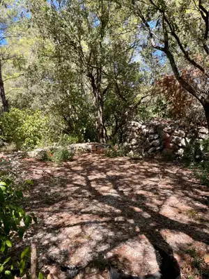 Lavendel. Feigen. Schatten. Dein eigenes kleines mediterranes Stück Hvar. - 9