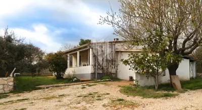 Rovinj, surroundings, single-storey house on a spacious yard - 3