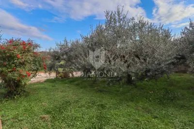 Rovinj, surroundings, single-storey house on a spacious yard - 11