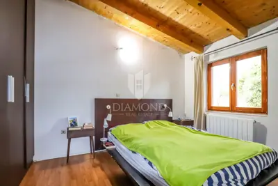 Rovinj, surroundings, single-storey house on a spacious yard - 8