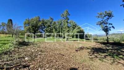 Građevinsko zemljište 1.942 m², Karojba - privatnost i pogled