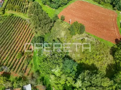 Građevinsko zemljište 1.942 m², Karojba - privatnost i pogled - 5