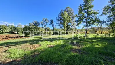 Građevinsko zemljište 1.942 m², Karojba - privatnost i pogled - 3