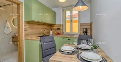 House in Vrsar, 3 apartments near the sea and beaches - 14