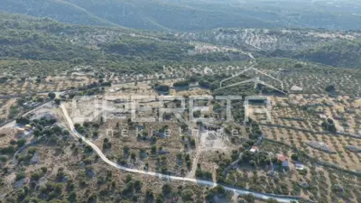 Land 10,334 m², Pučišća on Brač, sea view - 4