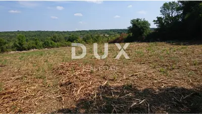Baugrundstück 8.599 m², Mrgani, Kanfanar - am Rand der Limska Draga - 3