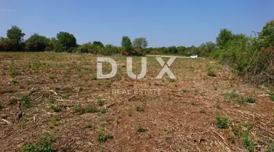 Baugrundstück 8.599 m², Mrgani, Kanfanar - am Rand der Limska Draga - 4