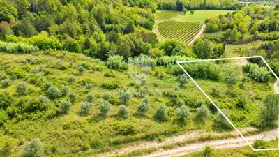 Building plot 1,300 m², Buje - view of Grožnjan and Motovun - 3