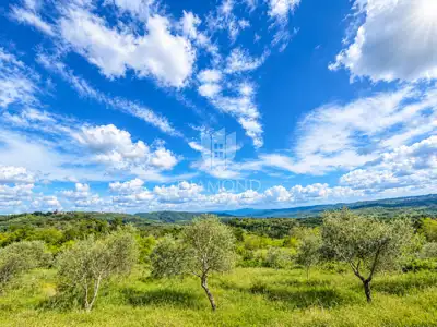 Building plot 1,300 m², Buje - view of Grožnjan and Motovun - 5