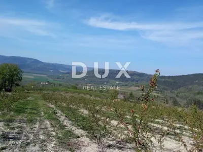 Zemljište 3.597 m², Motovun - panoramski pogled i osama - 3