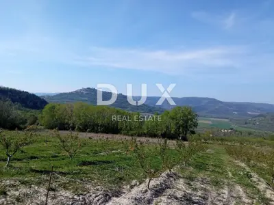 Grundstück 3.597 m², Motovun - atemberaubender Panoramablick und Abgeschiedenheit
