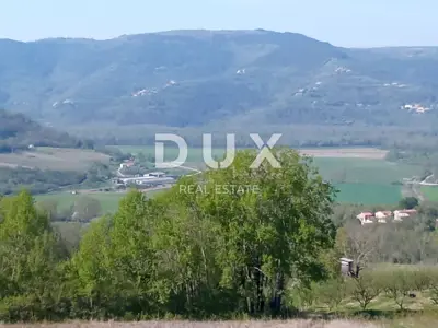 Zemljište 3.597 m², Motovun - panoramski pogled i osama - 4