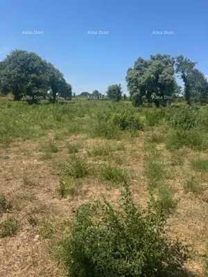 Građevinsko zemljište 4 000 m², Ližnjan uz more za hotel