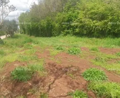 Građevinsko zemljište 1 295 m², Filipana kod Marčane, blizu centra
