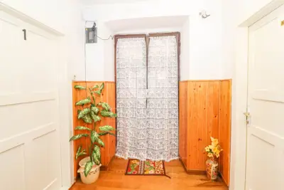 Rovinj, okolica, apartmanska kuća u centru - 12