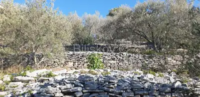 Baugrundstück 1 962 m², Vela Luka, 1. Reihe am Meer - 4