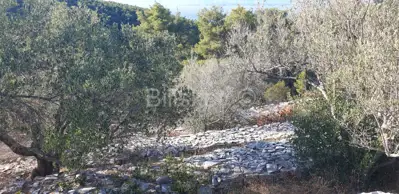 Baugrundstück 1 962 m², Vela Luka, 1. Reihe am Meer - 8