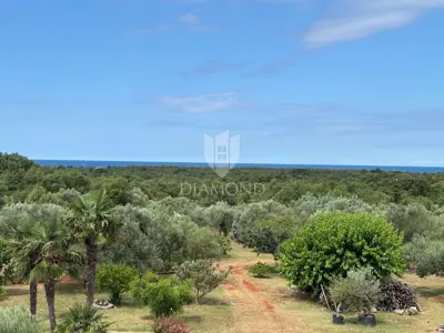 Umag, surroundings, stone house 145 m² in a quiet location - 16