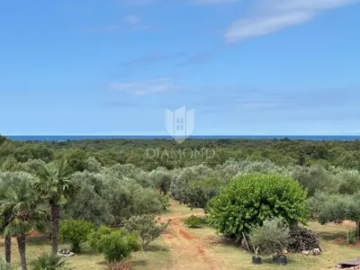 Umag, surroundings, stone house 145 m² in a quiet location - 2
