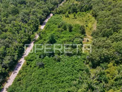 Poljoprivredno zemljište 9.317 m², Fuškulin, uz asfaltni pristup