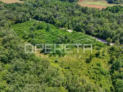 Poljoprivredno zemljište 9.317 m², Fuškulin, uz asfaltni pristup - 5