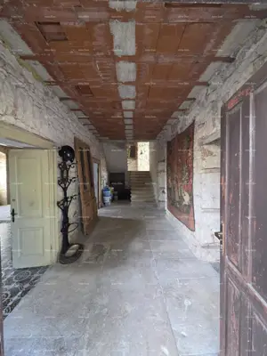 Povijesna nekretnina u Mutvoranu, 2.980 m² zemljišta i potencijal - 21
