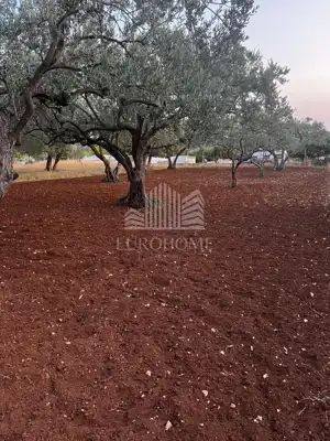 Building plot 731 m², Turanj - quiet street