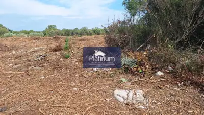 Istra, Peroj, poljoprivredno zemljište 600 m od mora - 5