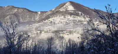 Zemljište 10.000 m², Rude - privatna šuma i panoramski pogled - 6