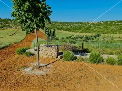 Landwirtschaftliches Anwesen 26.983 m², Jasenice - ökologischer Anbau - 18