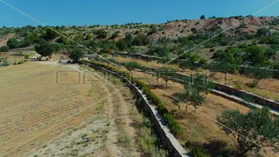 Landwirtschaftliches Anwesen 26.983 m², Jasenice - ökologischer Anbau - 15