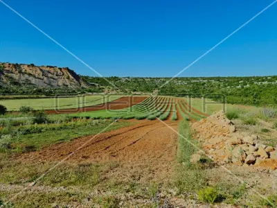 Landwirtschaftliches Anwesen 26.983 m², Jasenice - ökologischer Anbau - 17