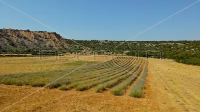 Landwirtschaftliches Anwesen 26.983 m², Jasenice - ökologischer Anbau - 2