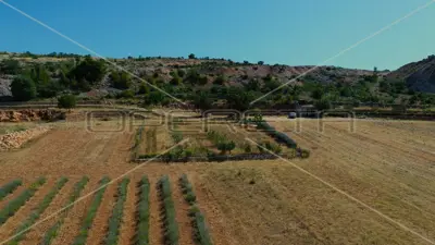Landwirtschaftliches Anwesen 26.983 m², Jasenice - ökologischer Anbau - 14