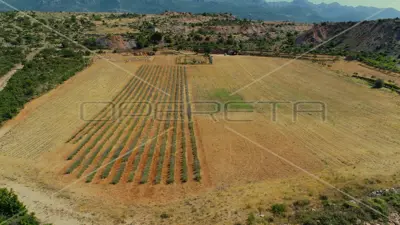 Poljoprivredno imanje 26.983 m², Jasenice - ekološki uzgoj
