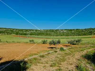 Landwirtschaftliches Anwesen 26.983 m², Jasenice - ökologischer Anbau - 19