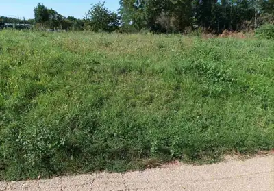 Building plot 1,079 m², Višnjan - along an asphalt road