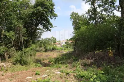 Building land 5,800 m², Križanci - quiet location - 2