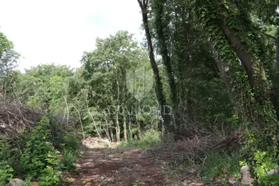 Building land 5,800 m², Križanci - quiet location - 6