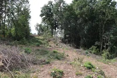 Building land 5,800 m², Križanci - quiet location - 9