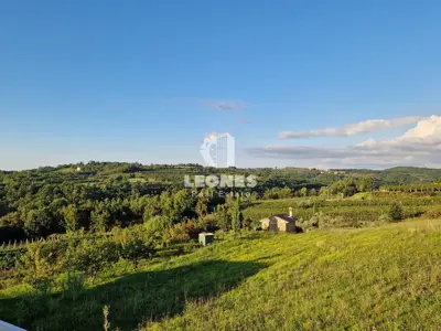 House, Buje-Momjan, pool and peaceful surroundings - 12