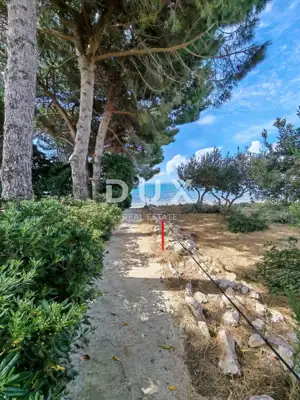 Wohnung 141,4 m², Petrčane - Punta Skala, Meerblick - 2