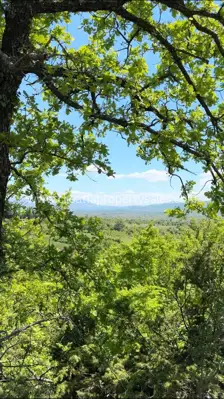 Agricultural land 6 ha, Drniš - peace and views of greenery - 3