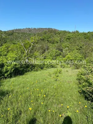Agricultural land 6 ha, Drniš - peace and views of greenery - 2