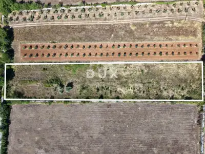 Građevinsko zemljište, Vodnjan - struja i voda, pravilnog oblika - 3