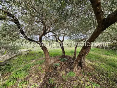 Kuća, Hvar, 260 m², 1 300 000 € - 15