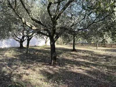Građevinsko zemljište 500 m², Pomer - 100 m od mora - 6
