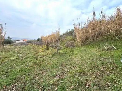 Baugrundstück 2.199 m², Buje - ruhige Lage - 2