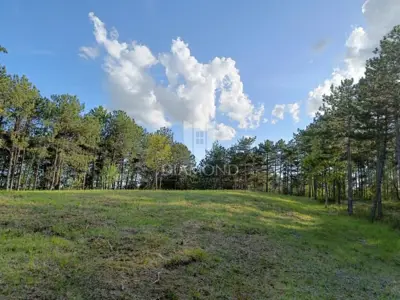 Gračišće, okolica - Grundstück 2.000 m² im grünen Istrien - 3