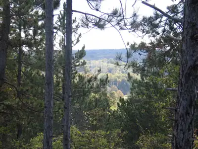 Gračišće, okolica - Grundstück 2.000 m² im grünen Istrien - 8
